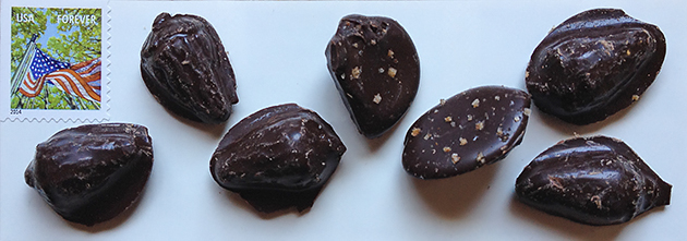 pieces of chocolate pieces