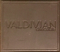 Valdivian Square