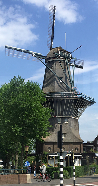 Cacao Windmill