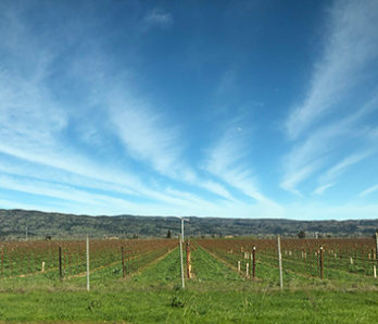 Napa Valley