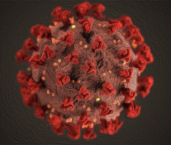 Chocolate Corona Virus