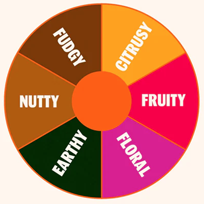 TCHO flavor wheel