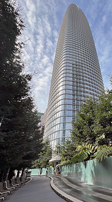 View of SalesForce Tower from the garden